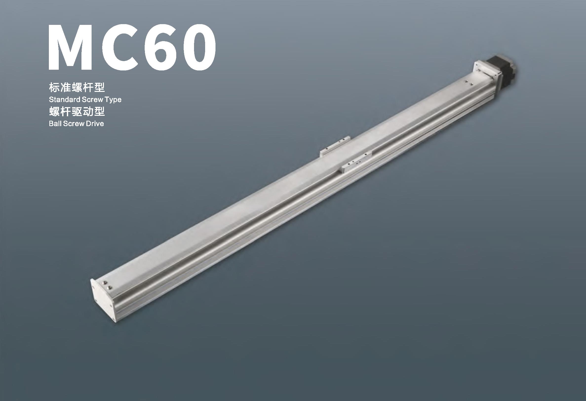 MC60-标准螺杆式 